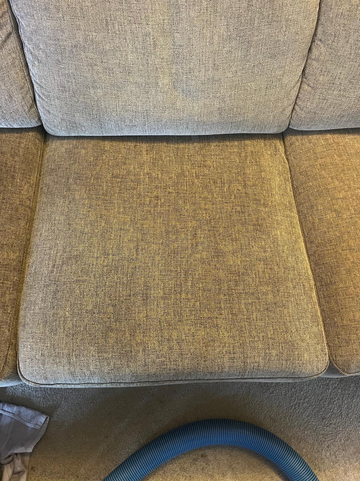 Clean sofa seat cushion after professional upholstery cleaning