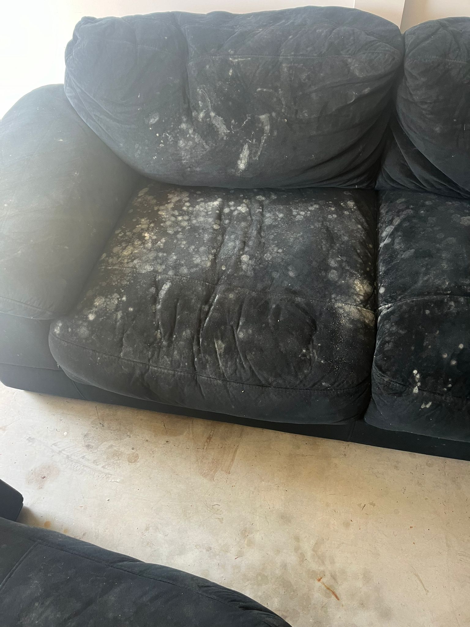 Sofa upholstery heavily stained with mold and dirt