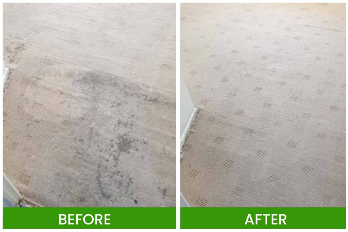 Carpet Cleaning service -Amazing Carpet Cleaning
