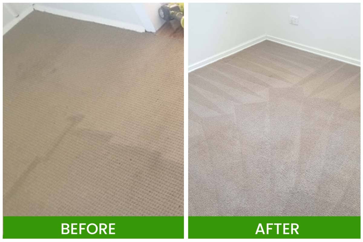 Carpet Cleaning service -Amazing Carpet Cleaning